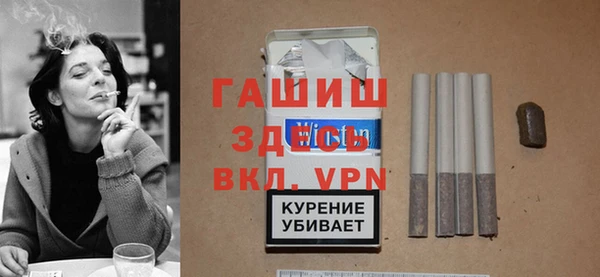 mix Инта