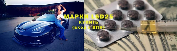 mix Инта