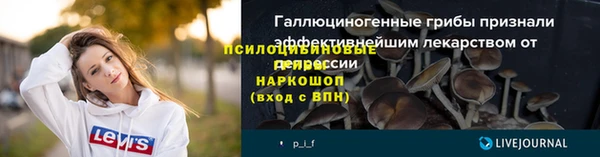 mix Инта